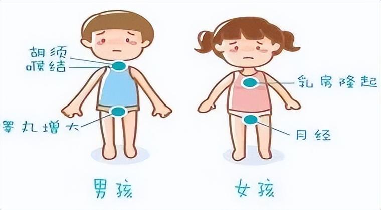 探索青春期最新变化与挑战，青春期的蜕变之路