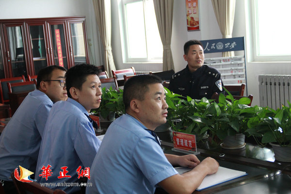 蒲城张兆武最新动态，深度分析与观点阐述