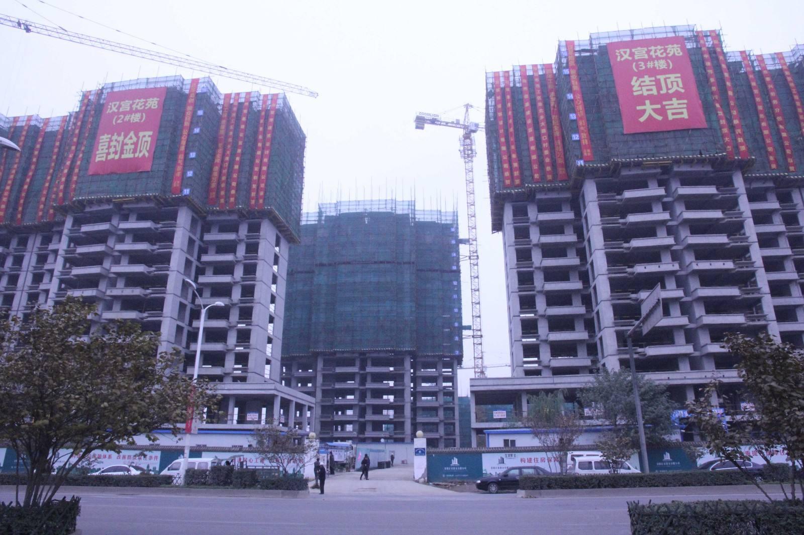 凌宇犀地最新动态，掌握新技能与任务完成步骤指南