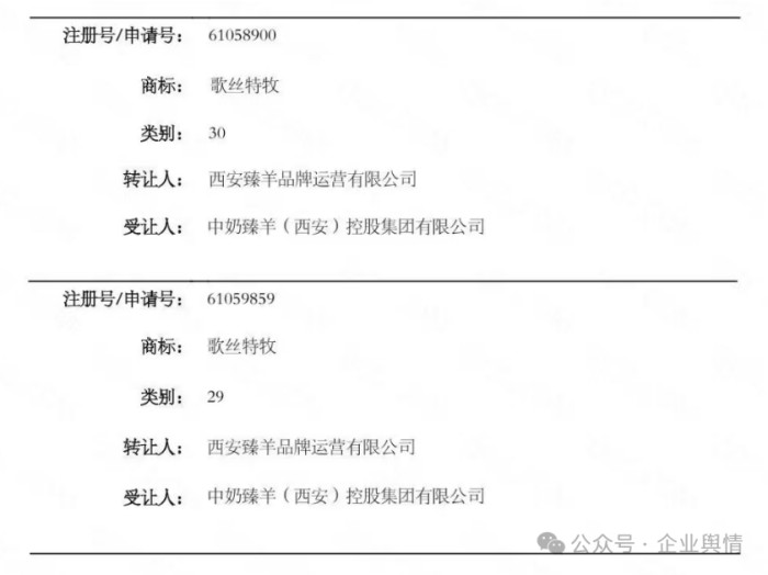 西安中登集团蓬勃发展，创新未来最新消息