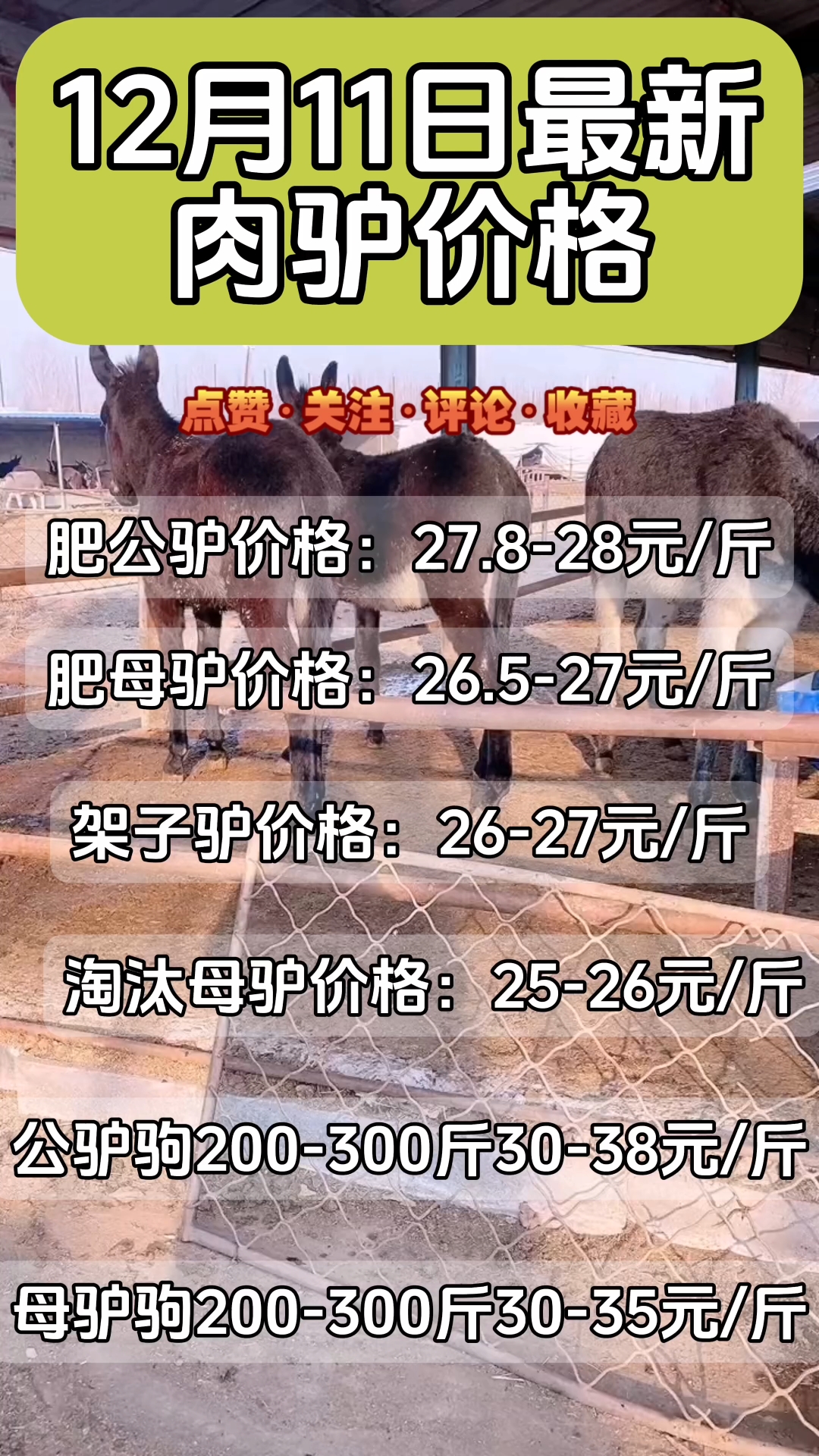 揭秘最新活驴价格走势！